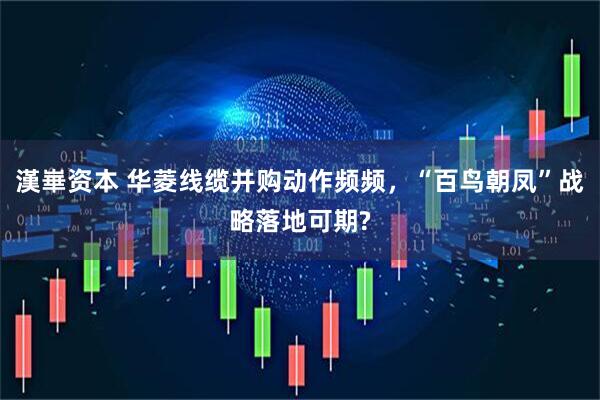 漢崋资本 华菱线缆并购动作频频，“百鸟朝凤”战略落地可期?