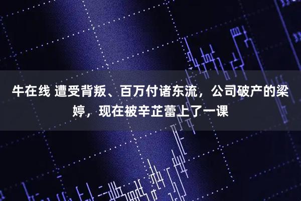 牛在线 遭受背叛、百万付诸东流，公司破产的梁婷，现在被辛芷蕾上了一课