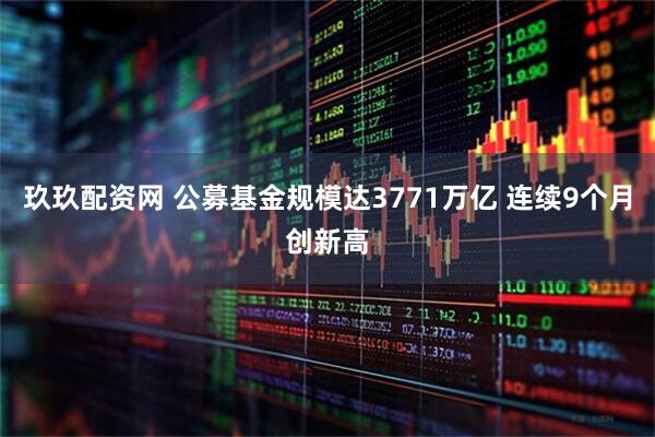 玖玖配资网 公募基金规模达3771万亿 连续9个月创新高