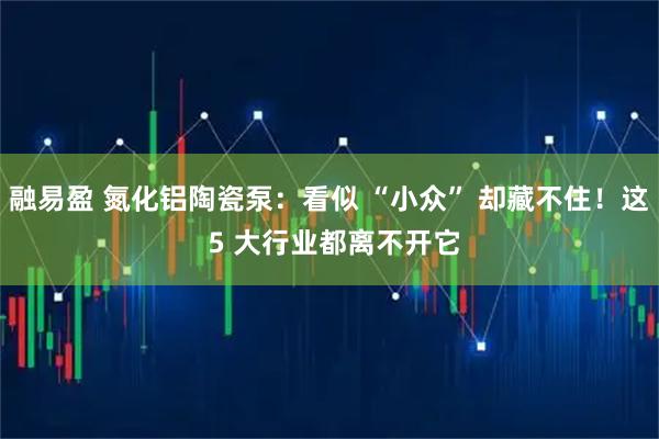 融易盈 氮化铝陶瓷泵：看似 “小众” 却藏不住！这 5 大行业都离不开它